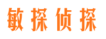 嘉陵市侦探调查公司